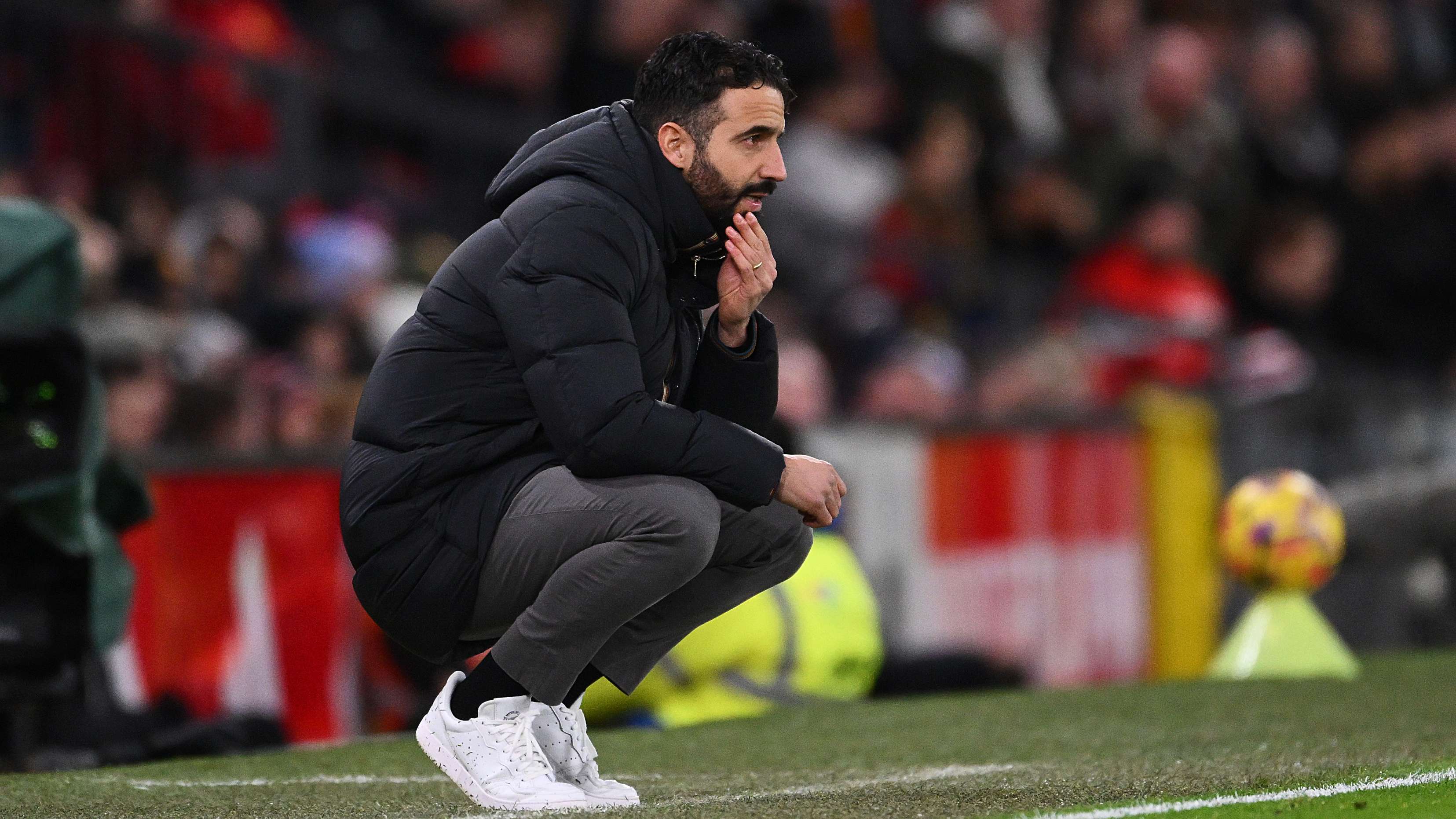 己的知名度 己的知名度